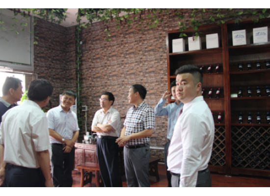 邢臺(tái)市副市長(zhǎng)郭旭濤來我公司參觀考察